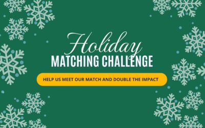 Holiday Matching Challenge